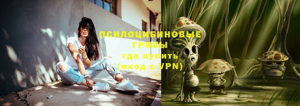 МДМА Бородино