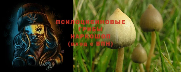 стафф Бугульма