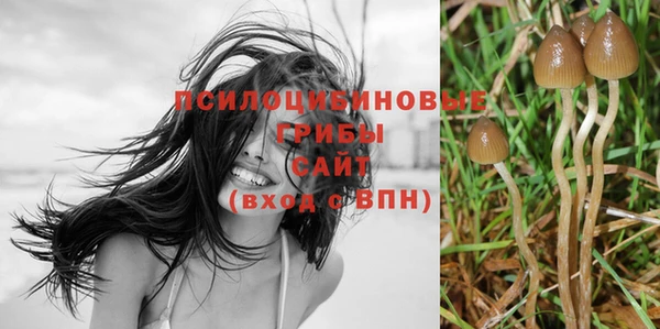 стафф Бугульма